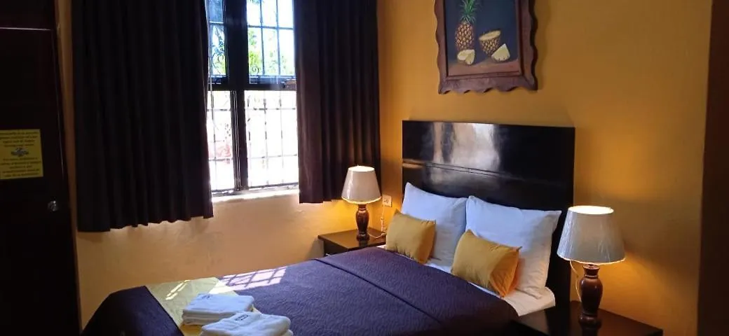 Hotel Del Peregrino Boutique Hotel Merida